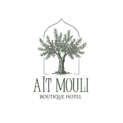 hotelaitmouli.com